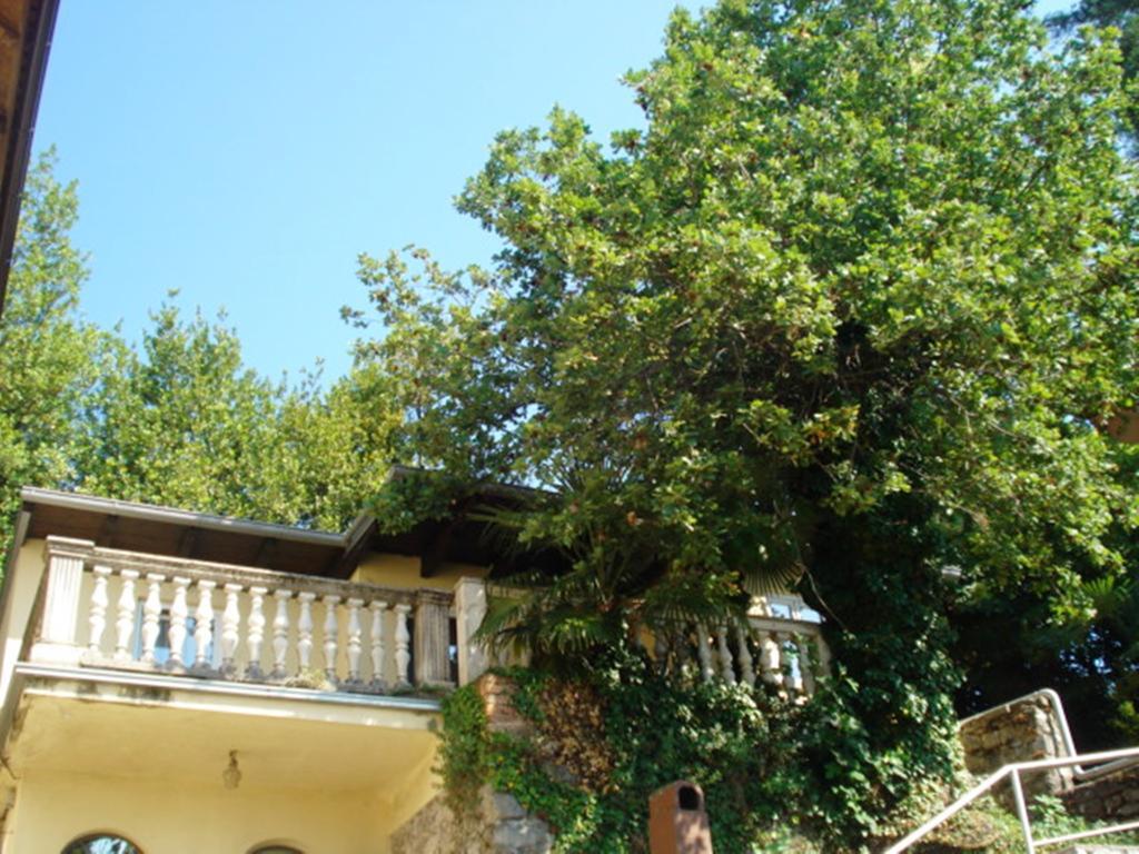 Apartments Villa Atta Opatija Oda fotoğraf